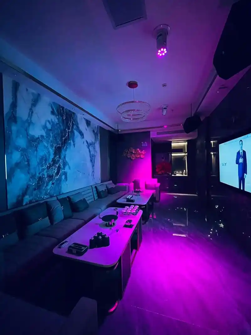 天津商务ktv解释-河北区ktv预定